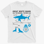 Great White Shark Carcharodon Carcharias Infographic T-Shirt - White