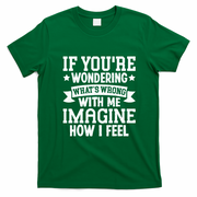 If Youre Wondering Whats Wrong Imagine How I Feel T-Shirt - Irish Green
