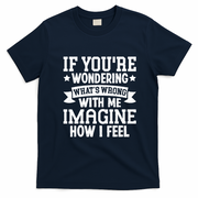 If Youre Wondering Whats Wrong Imagine How I Feel T-Shirt - Navy Blue
